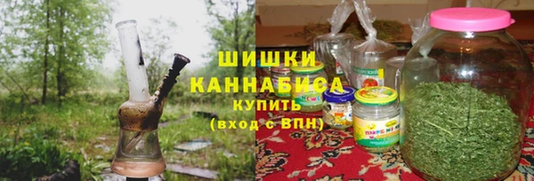 гашик Алзамай