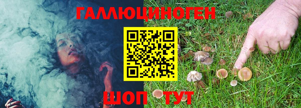 Галлюциногенные грибы Cubensis  Псилоцибиновые грибы GOLDEN TEACHER  Майкоп  Вход с VPN 