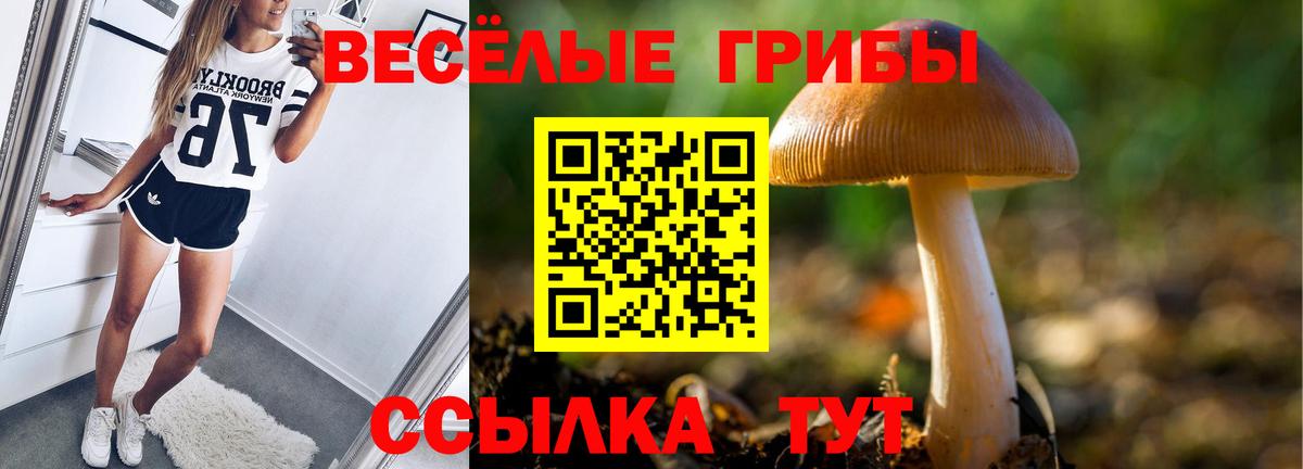 Галлюциногенные грибы мухоморы Майкоп